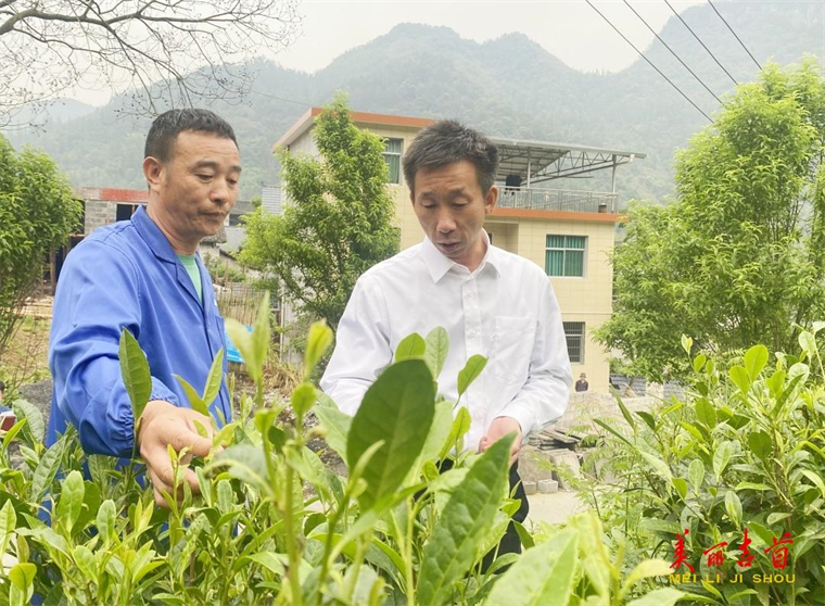 周立志深入矮寨鎮(zhèn)調(diào)研鄉(xiāng)村振興工作